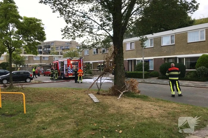 Kat gewond bij woningbrand