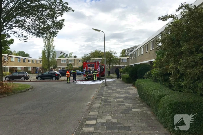 Kat gewond bij woningbrand