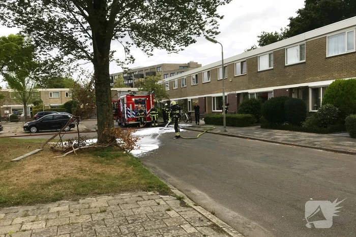 Kat gewond bij woningbrand