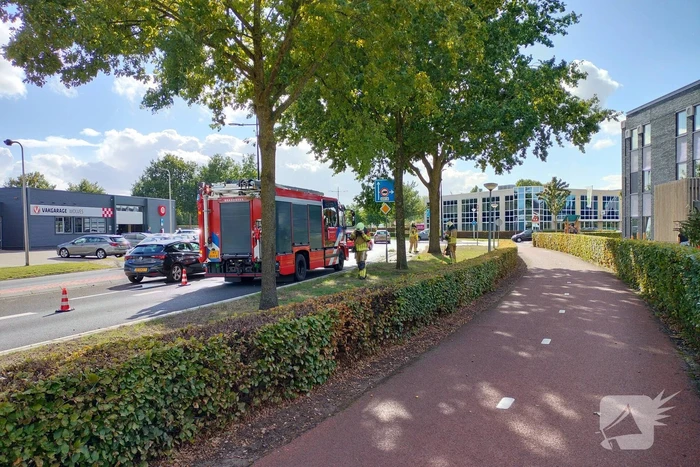 natuur reggesingel rijssen