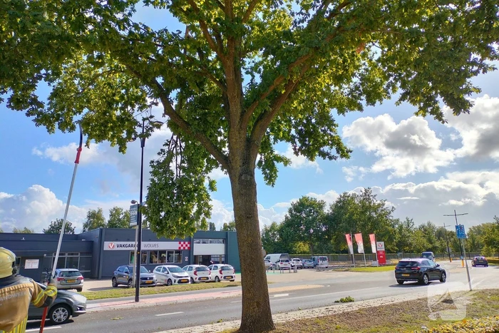 Brandweer verwijdert loshangende tak