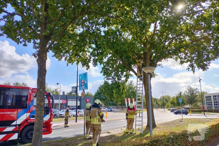 Brandweer verwijdert loshangende tak