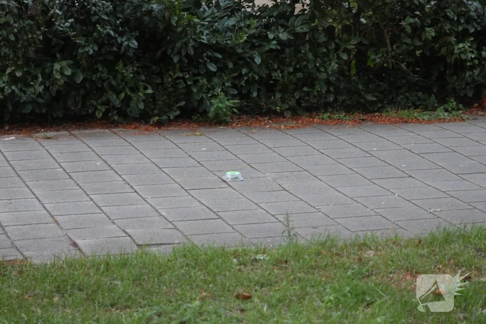 Schoten gelost op raam van woning