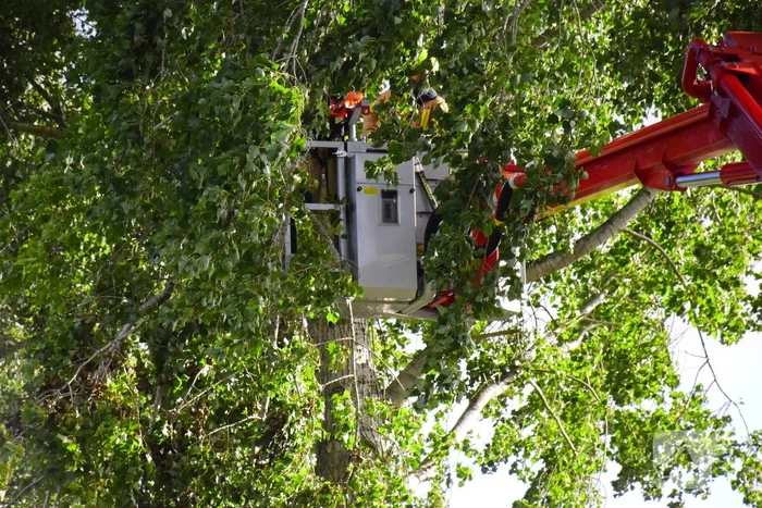 Brandweer ingezet voor loshangende tak