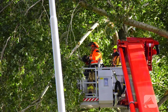 Brandweer ingezet voor loshangende tak