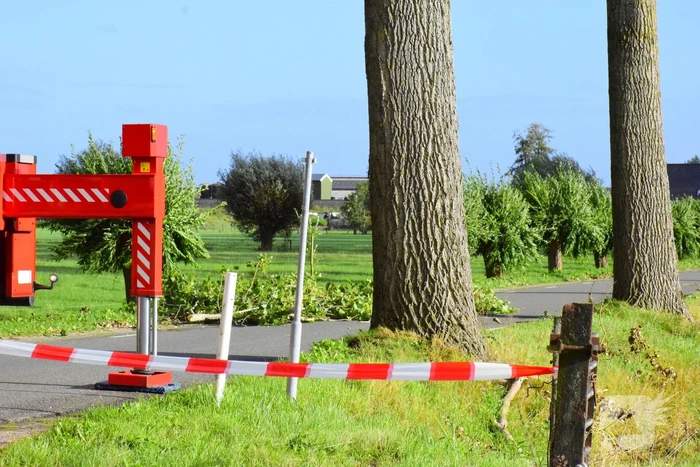 Brandweer ingezet voor loshangende tak