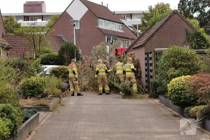Boom waait tegen schuur