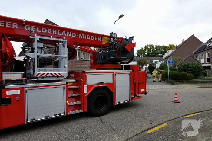 Boom waait tegen schuur