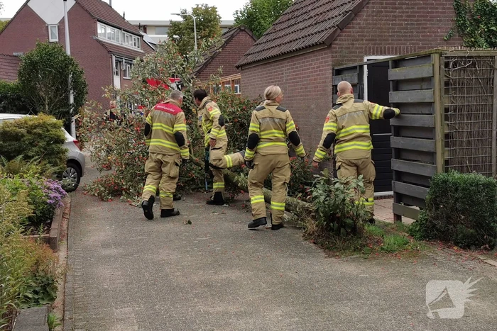 Boom waait tegen schuur