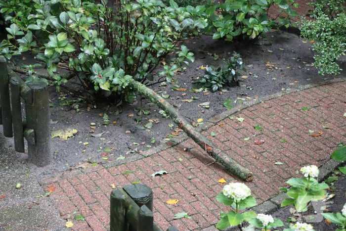 Gebied afgezet wegens stormschade
