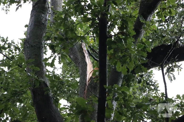 Gebied afgezet wegens stormschade