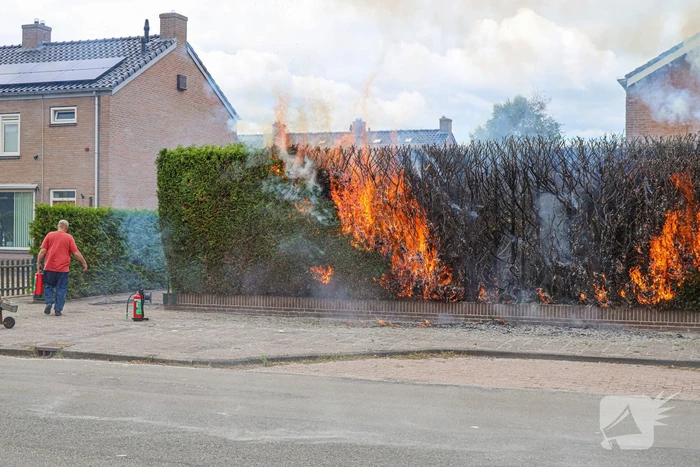 Onkruidbrander zet coniferenhaag in brand