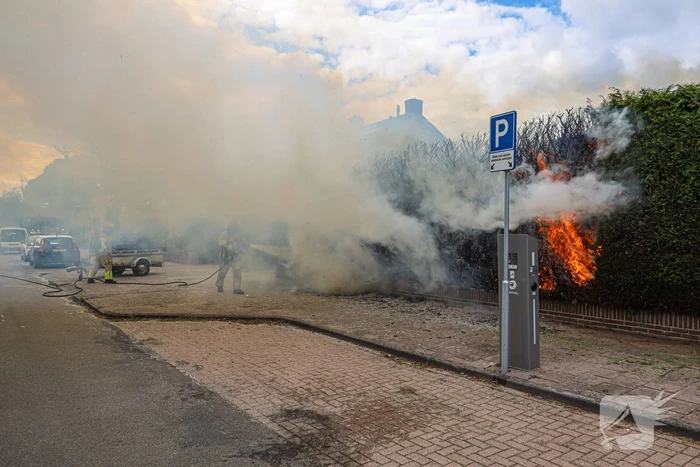 Onkruidbrander zet coniferenhaag in brand