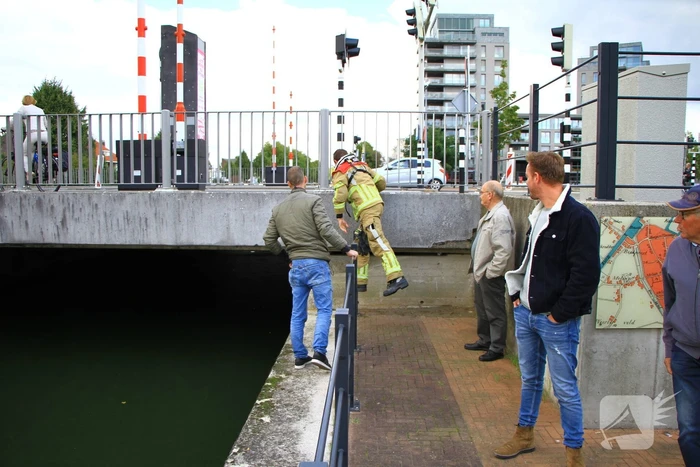nieuws bassin weert