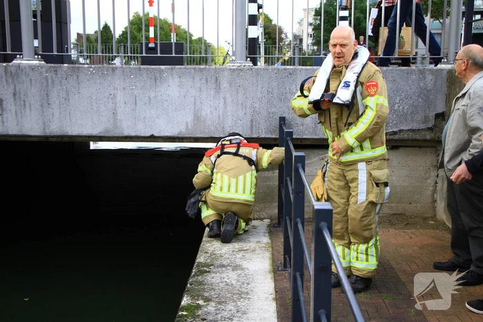 Kat kiest het hazenpad na reddingsactie