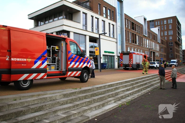 Kat kiest het hazenpad na reddingsactie