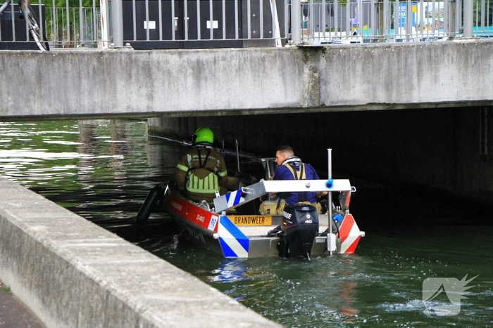 Kat kiest het hazenpad na reddingsactie