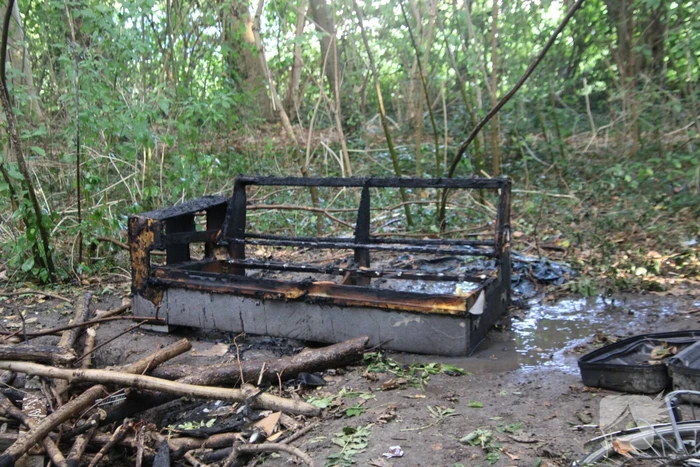 Houten bankje in bosjes afgebrand