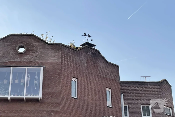 Schoorsteenbrand snel onder controle
