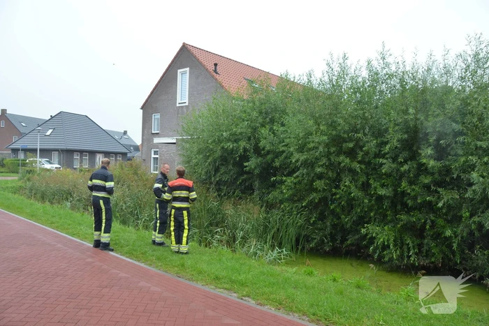 Kip te water gered door brandweerlieden