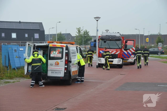 Kip te water gered door brandweerlieden