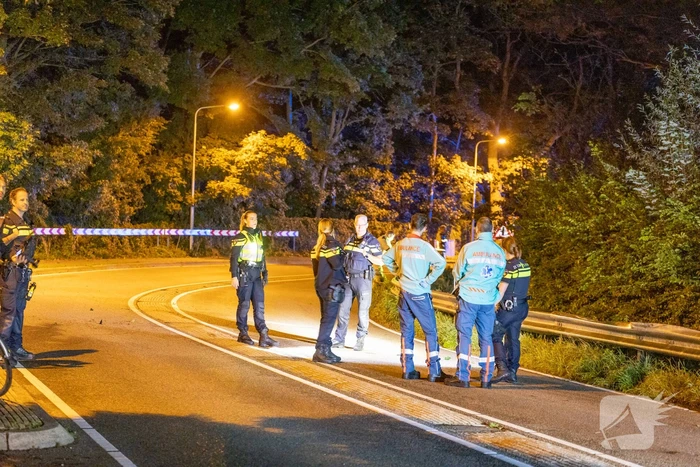 Automobilist richt ravage aan en gaat ervandoor