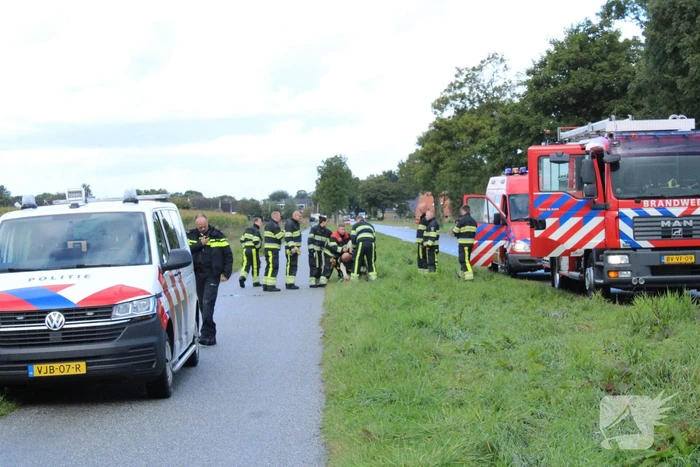 Hulpdiensten ingezet voor koe in de sloot