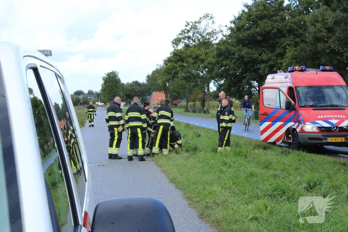 Hulpdiensten ingezet voor koe in de sloot