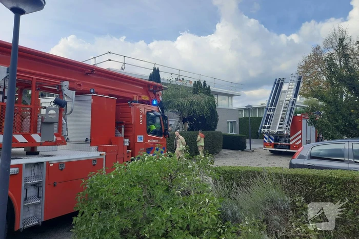 nieuws aletta jacobskade vlaardingen