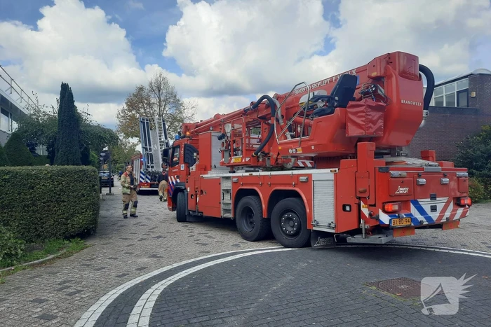 Man vast in boom tijden snoeiwerkzaamheden