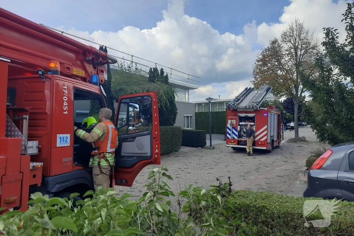 Man vast in boom tijden snoeiwerkzaamheden