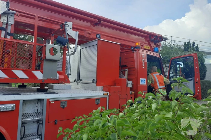 Man vast in boom tijden snoeiwerkzaamheden
