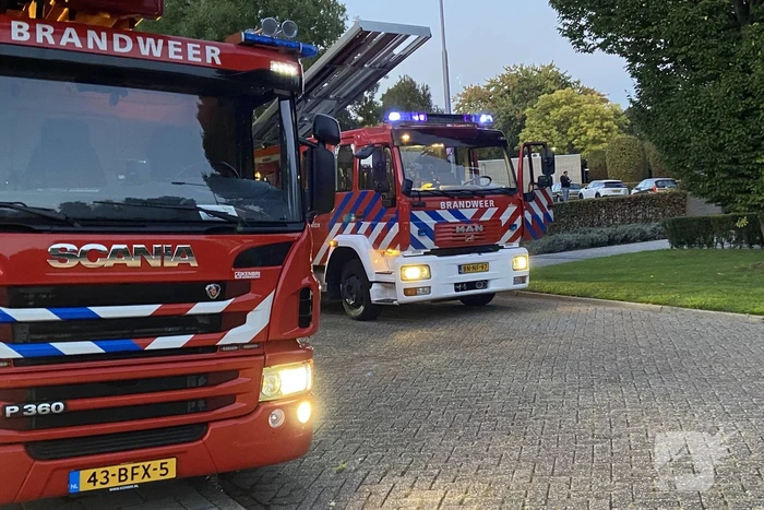 Hulpdiensten groots ingezet voor persoon te water