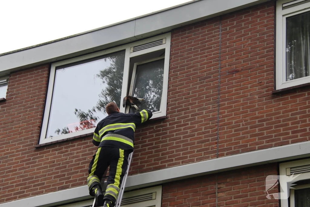 Wilgenstraat 112 nieuws Leeuwarden 