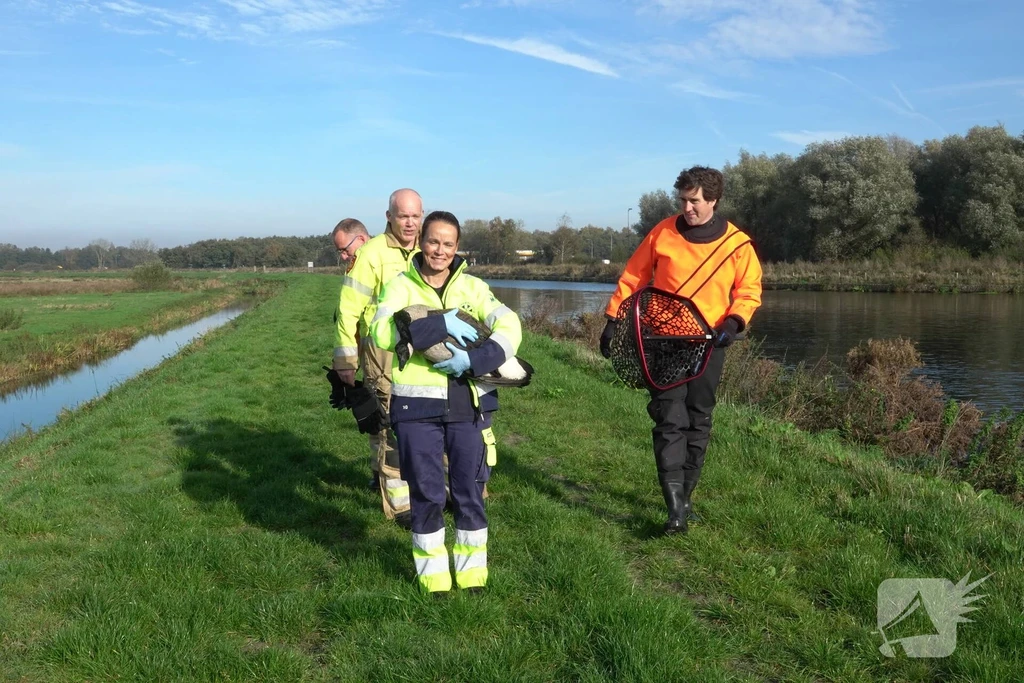 Hooidijk 112 melding Haren Gn 