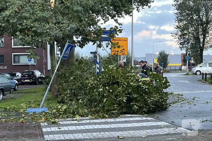 Boom verspert trottoir en straat