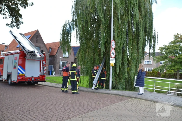Brandweer haalt kat uit een boom