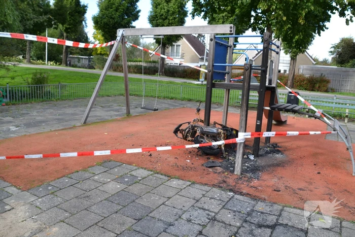 brand kruiskruid boskoop