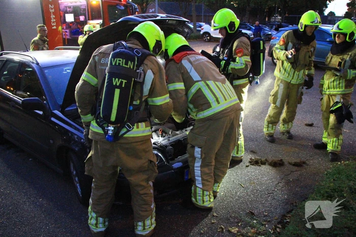 brand vrakkerveld weert
