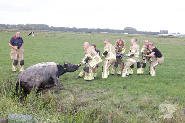 nieuws noord ervenweg eemnes