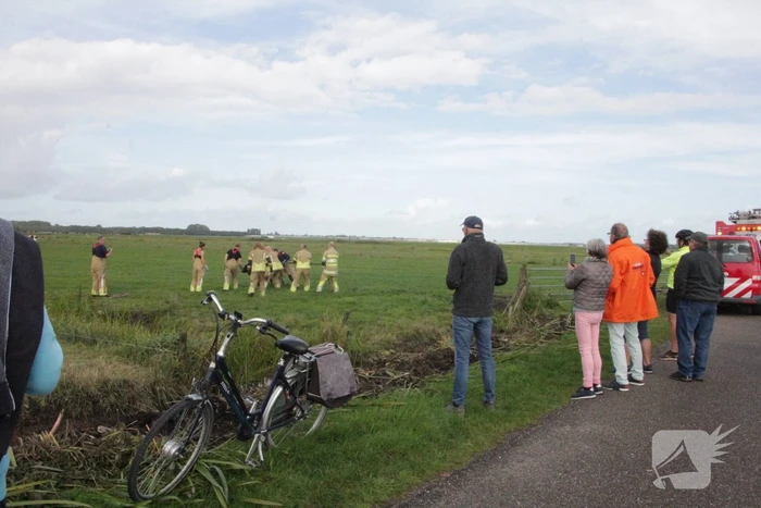 Brandweer redt koe uit sloot