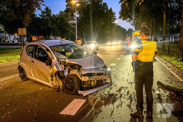 Bestuurder aangehouden na botsing tegen boom