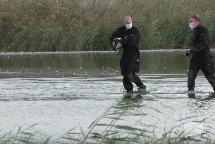Ganzen met vogelgriep uit water gehaald