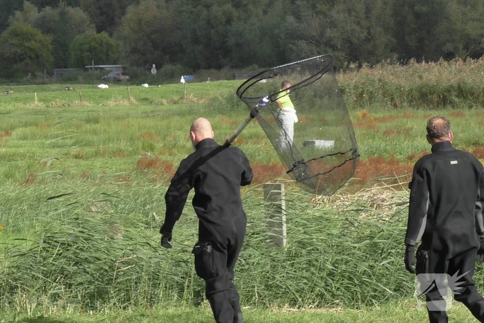 Ganzen met vogelgriep uit water gehaald