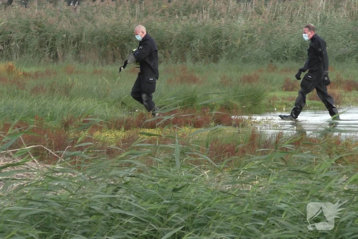 Ganzen met vogelgriep uit water gehaald