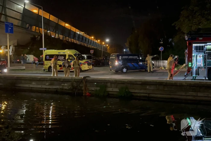 Grote uitslaande brand verwoest schuur