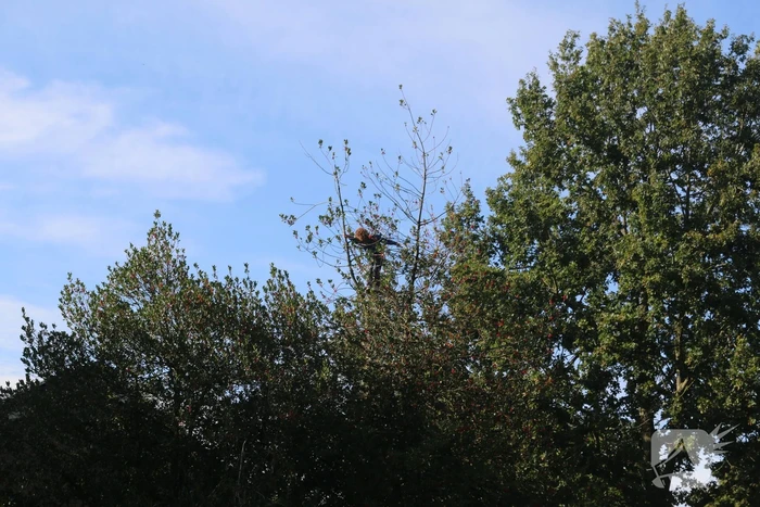 nieuws hesselterbrink emmen