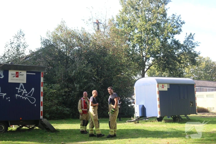Persoon vast in top van boom
