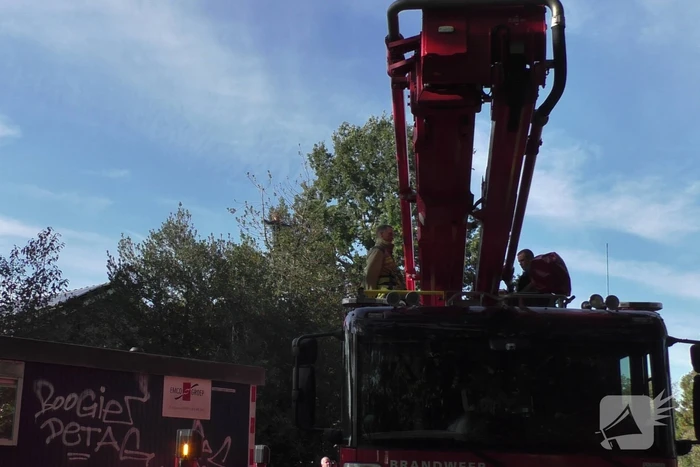 Persoon vast in top van boom