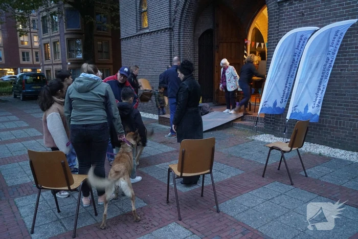 Huisdieren krijgen zegening op Dierendag